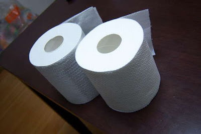 toilet_paper_roll_prank_12.jpg