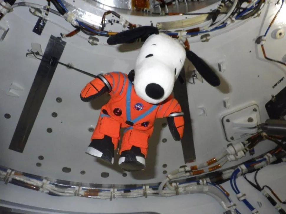 snoopy-goes-to-space.webp