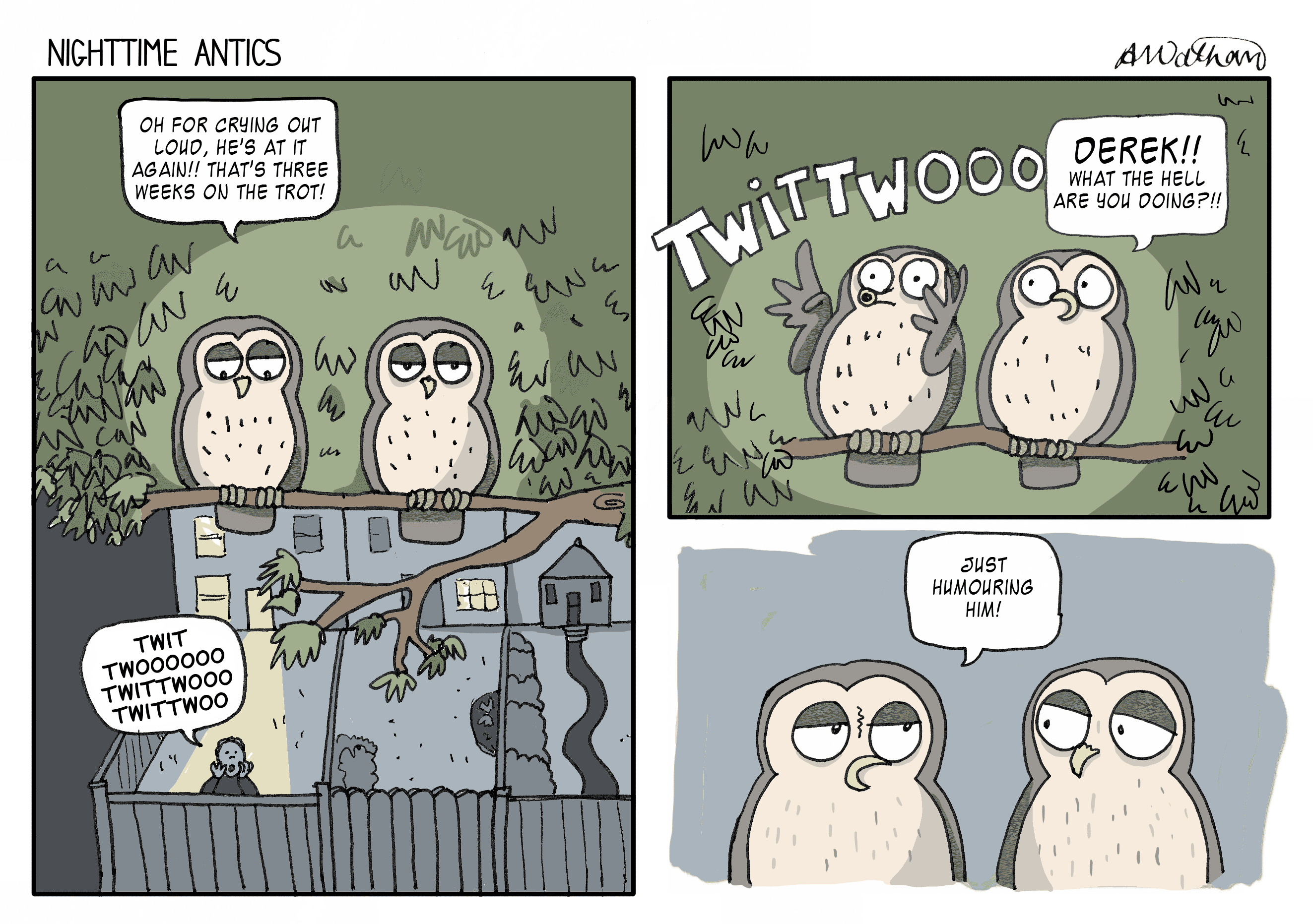 owls.gif