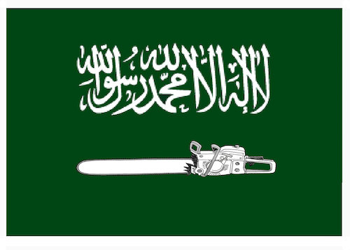 new_saudi_flag__3234195.jpg