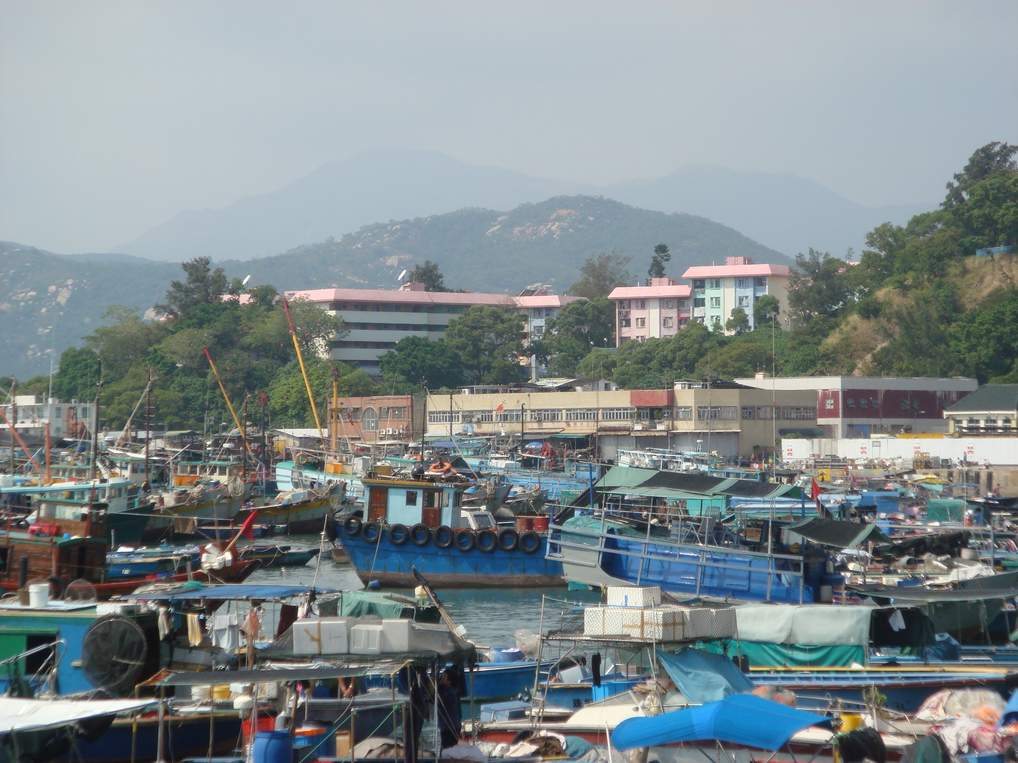 Cheung_Chau_Typhoon_Shelter2.JPG