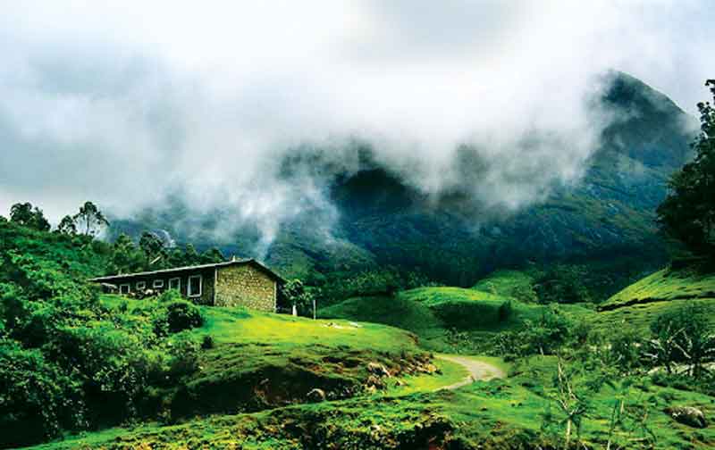 70_Discover-Munnar-Package.jpg