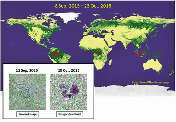 JAXA_Forestation_map.jpg