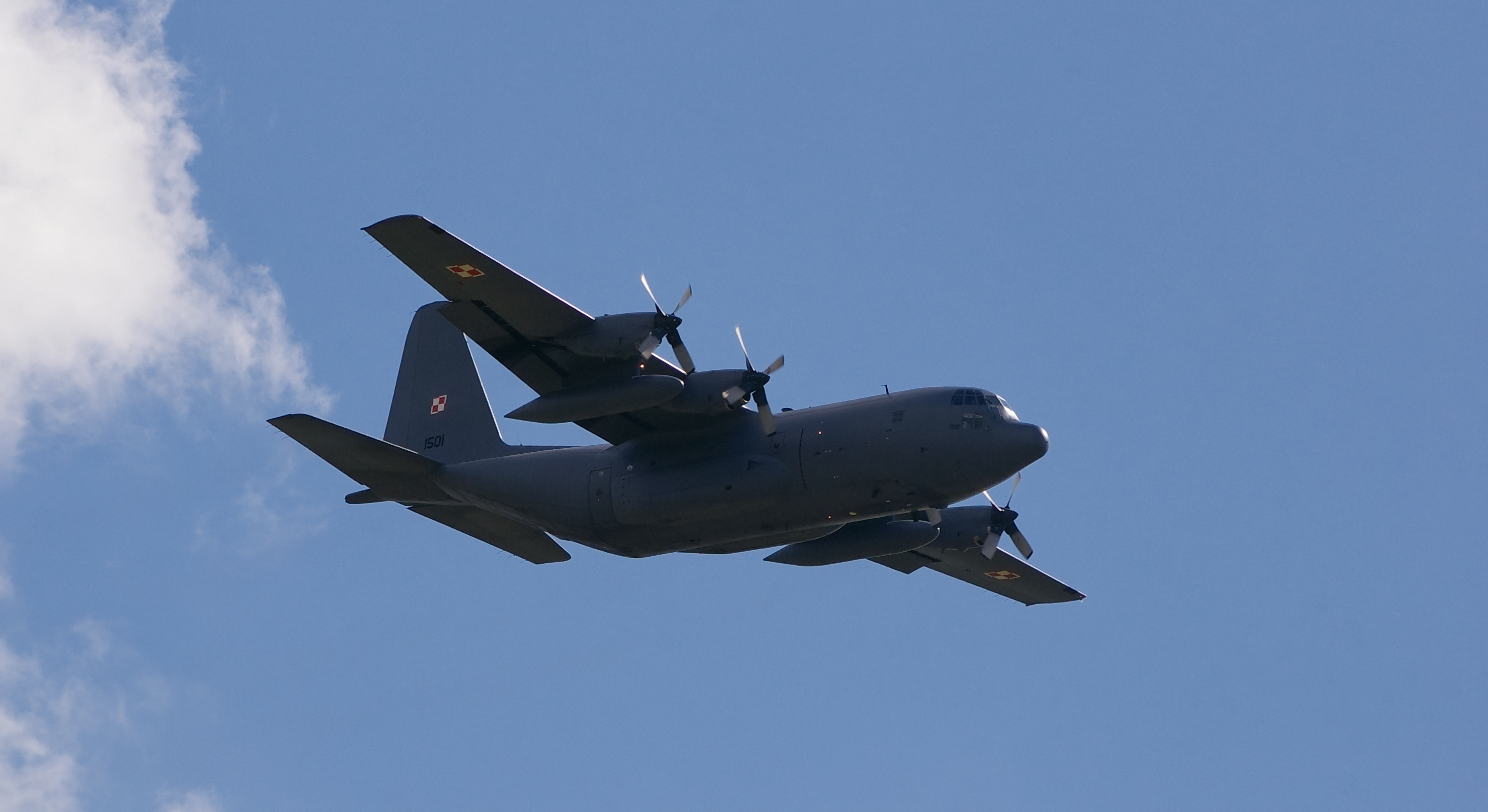 Polski_C-130_Hercules.JPG