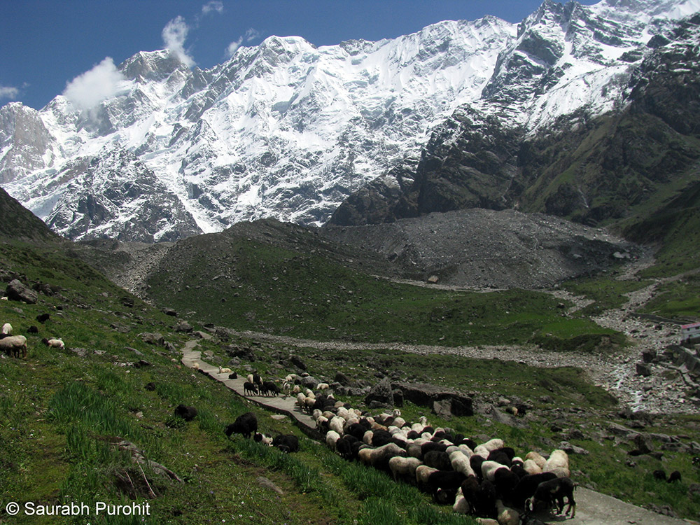 kedarnath-2394332.jpg