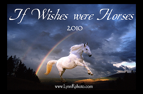 2010ifwisheswerehorses.jpg