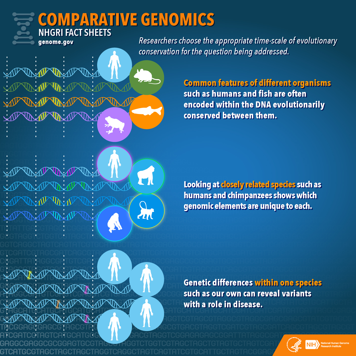 comparative_genomics_factsheet_0.jpg