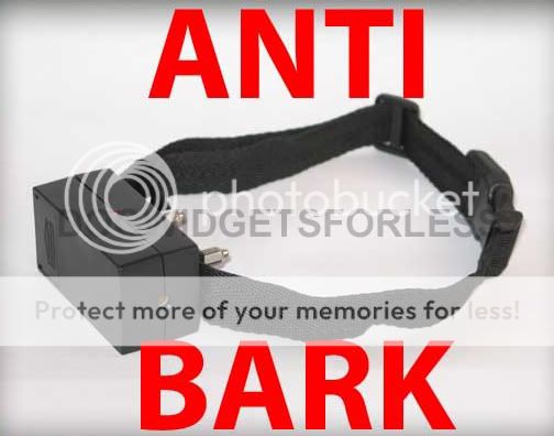 antibarkblack2_edited-1.jpg