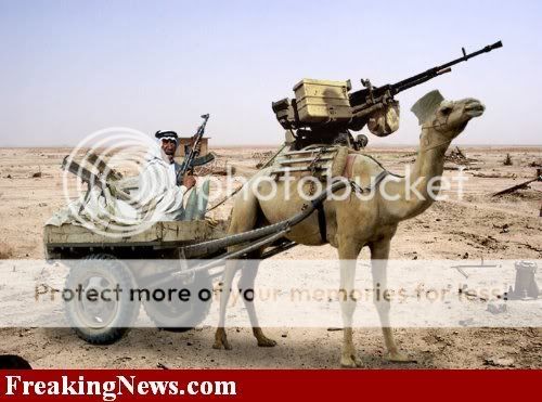 Camel-Gun--3344.jpg