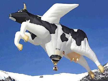 cow_hot_air_balloon.jpg