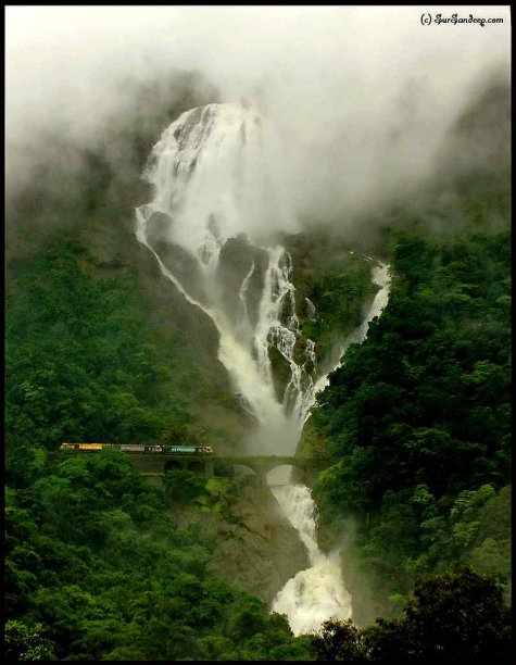 seaofmilk-dudhsagar-ceobharat-jpg_132014.jpg