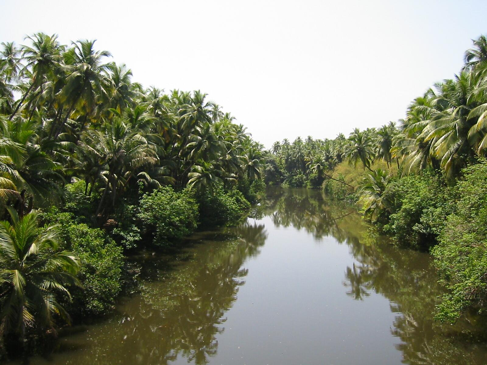 33_backwater%20in%20Goa.jpg