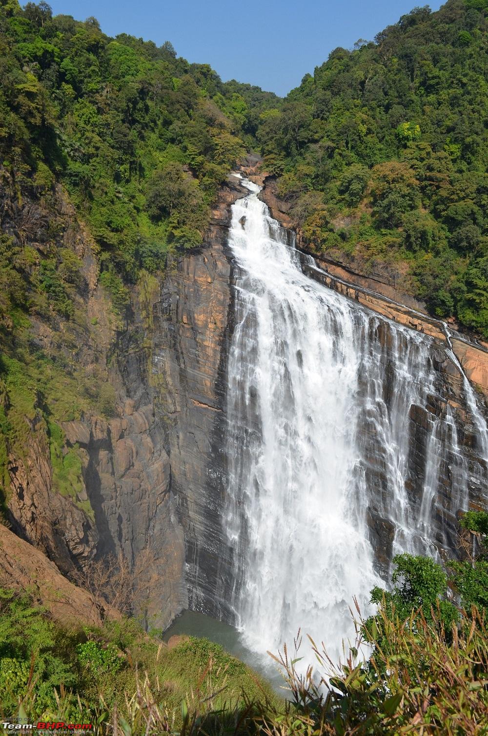 1180268d1387390447-monsoon-malnad-26.jpg