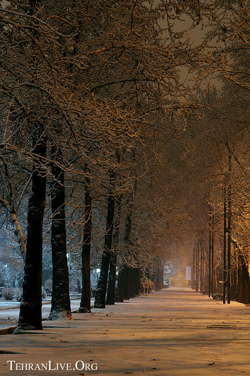 tehran_under_snow_2.jpg