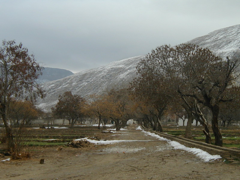 Quetta._Page_246.jpg