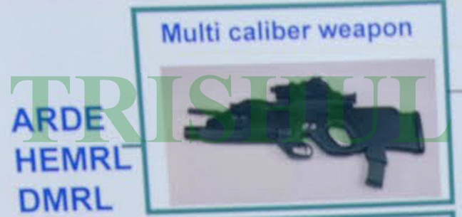 DRDO-developed%2BMulti-Calibre%2BAssault%2BRfile.jpg