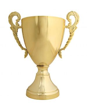 55383-1350143882-handled_trophy.jpg