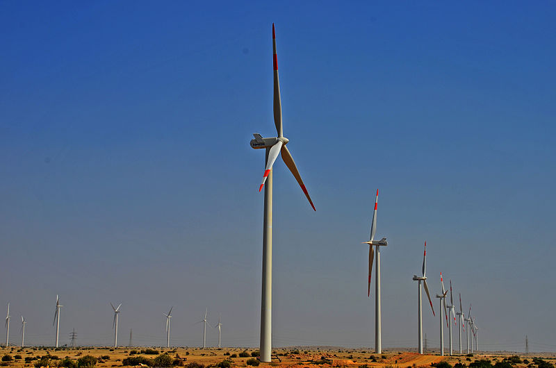 800px-Jhimpir_Wind_Farm_2012.jpg