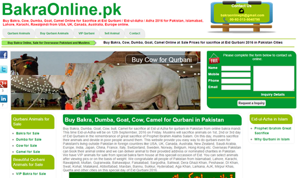 bakra-online.jpg