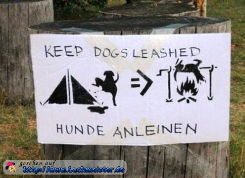 lustiges_bild_hunde-anleinen.jpg