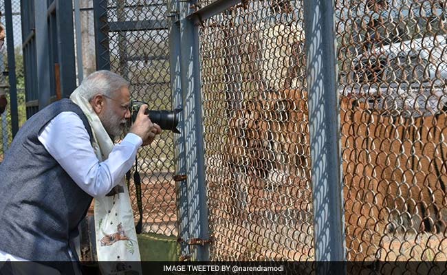 pm-modi-tiger-3_650x400_81477993844.jpg