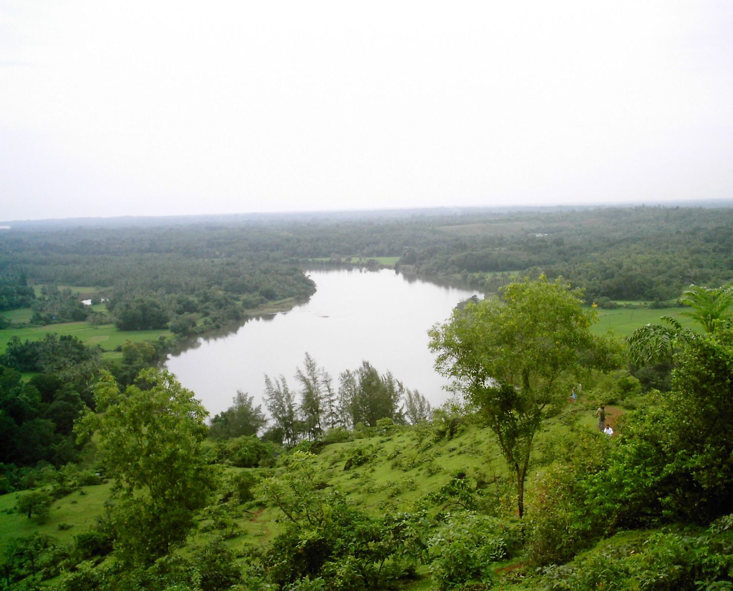 The_Beauty_of_Western_Ghats_by_manishsinha.jpg