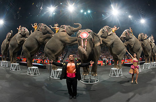 32_11_ringlingbros_z.jpg