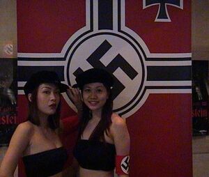 300px-Zomg_hot_asian_nazis.jpg