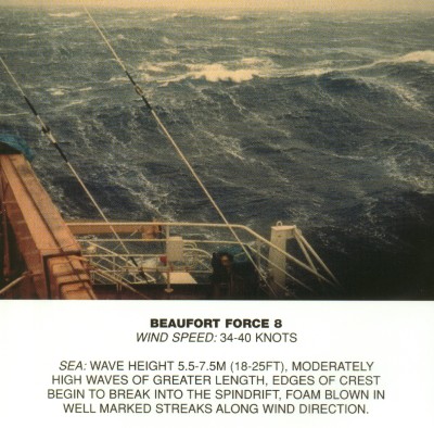 Beaufort_scale_8.jpg