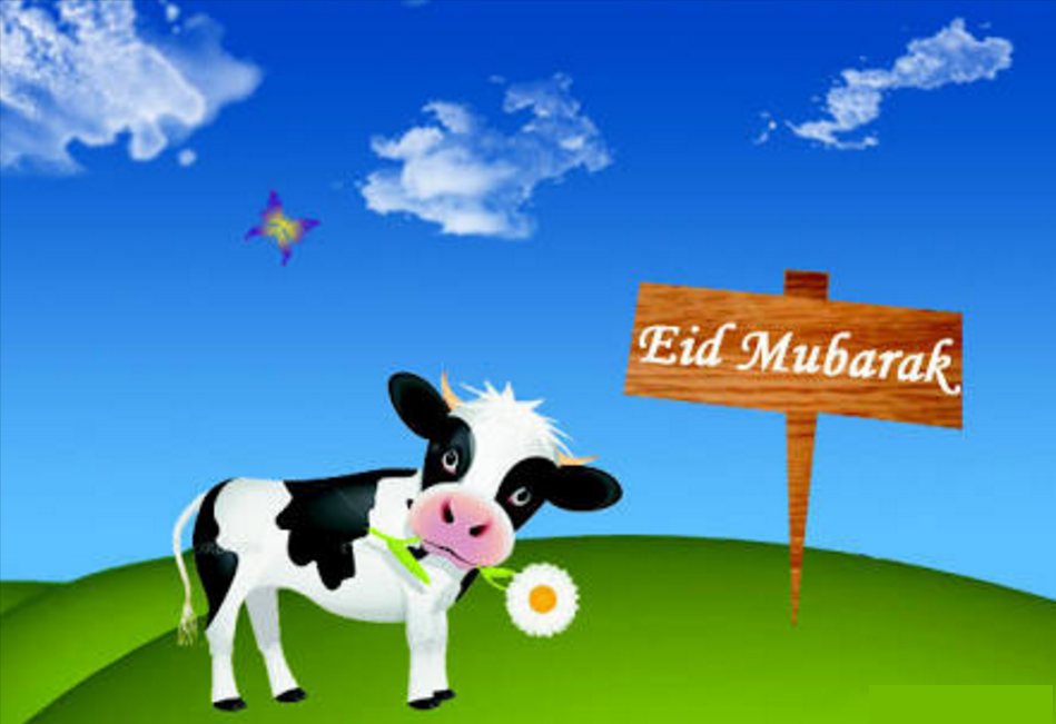 eid16.png