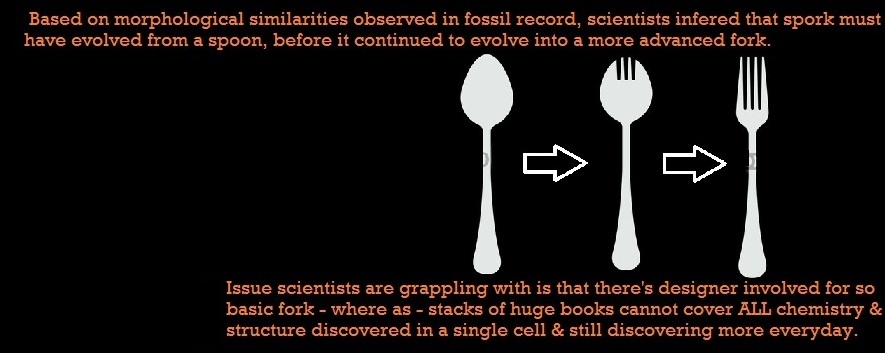 Evolution-ofFork.jpg