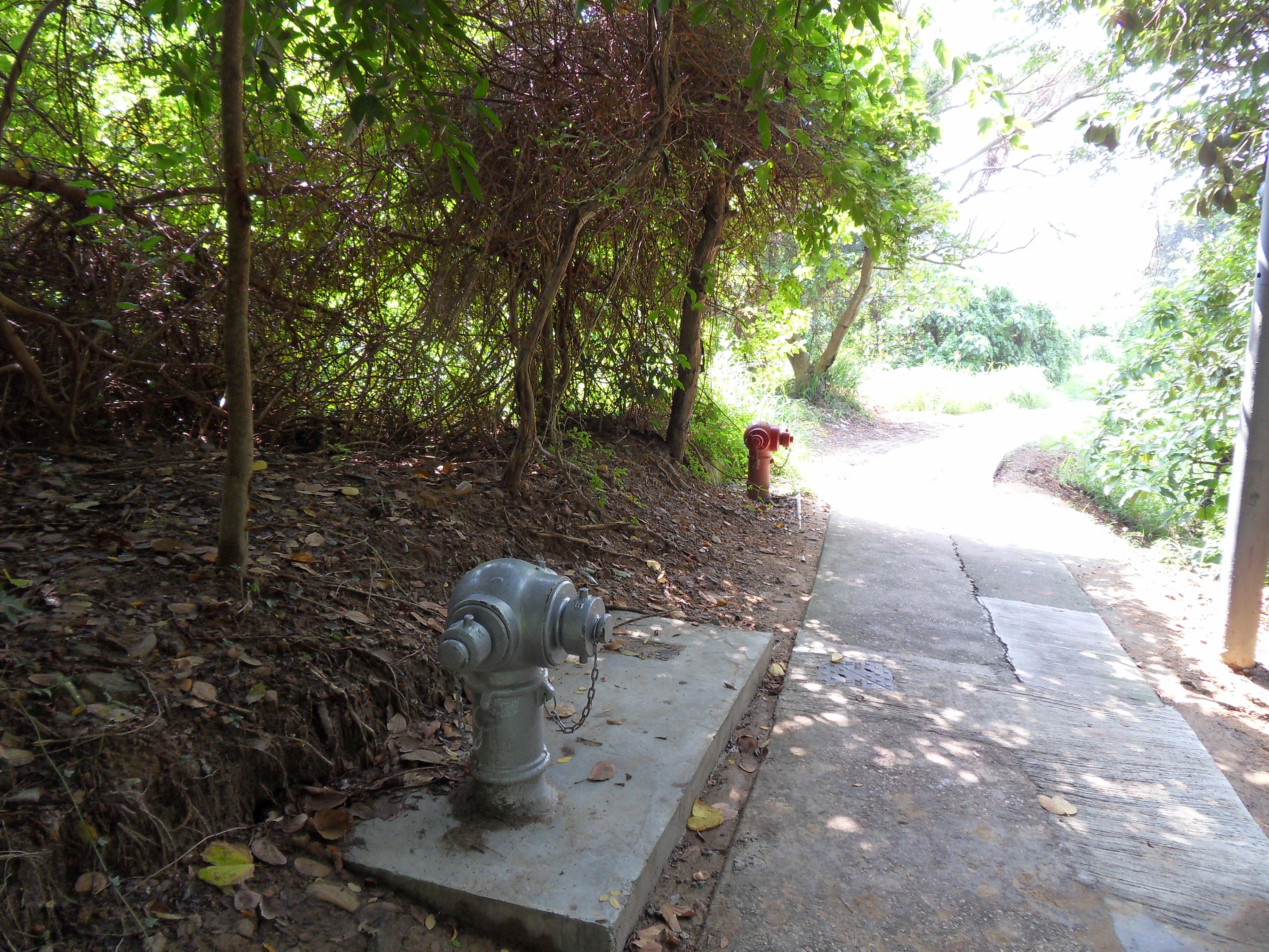 Fire_hydrants_on_Lamma_Island_Family_Walk.JPG