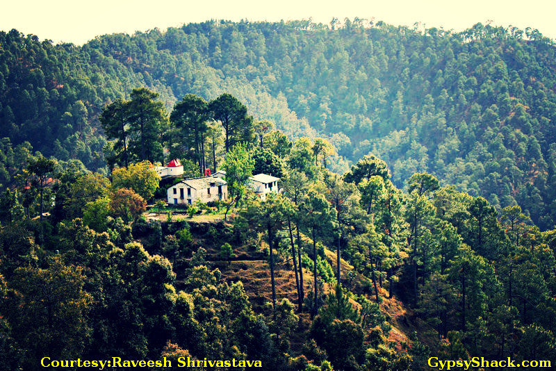 Binsar_3.jpg