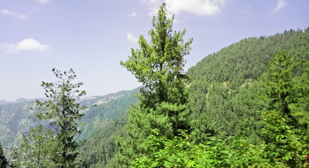 beautiful-view-nathiagali.jpg