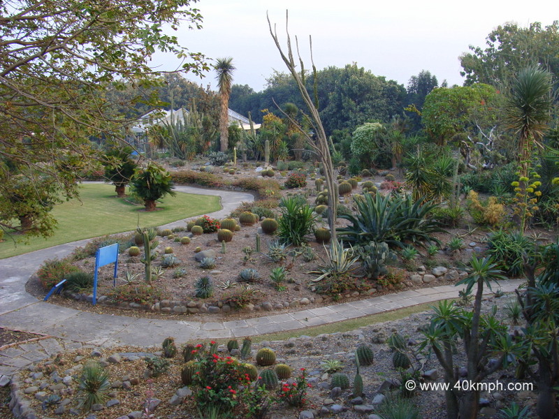 Sarkaria-Cactus-Garden.jpg