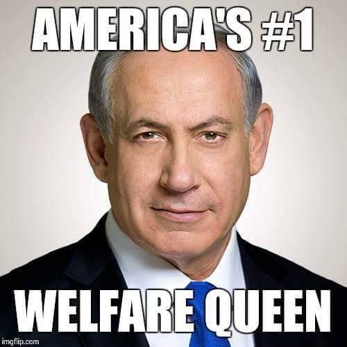 2c1a3d331a5d1ba4da3b4540de4888cf--stupid-people-bibi.jpg