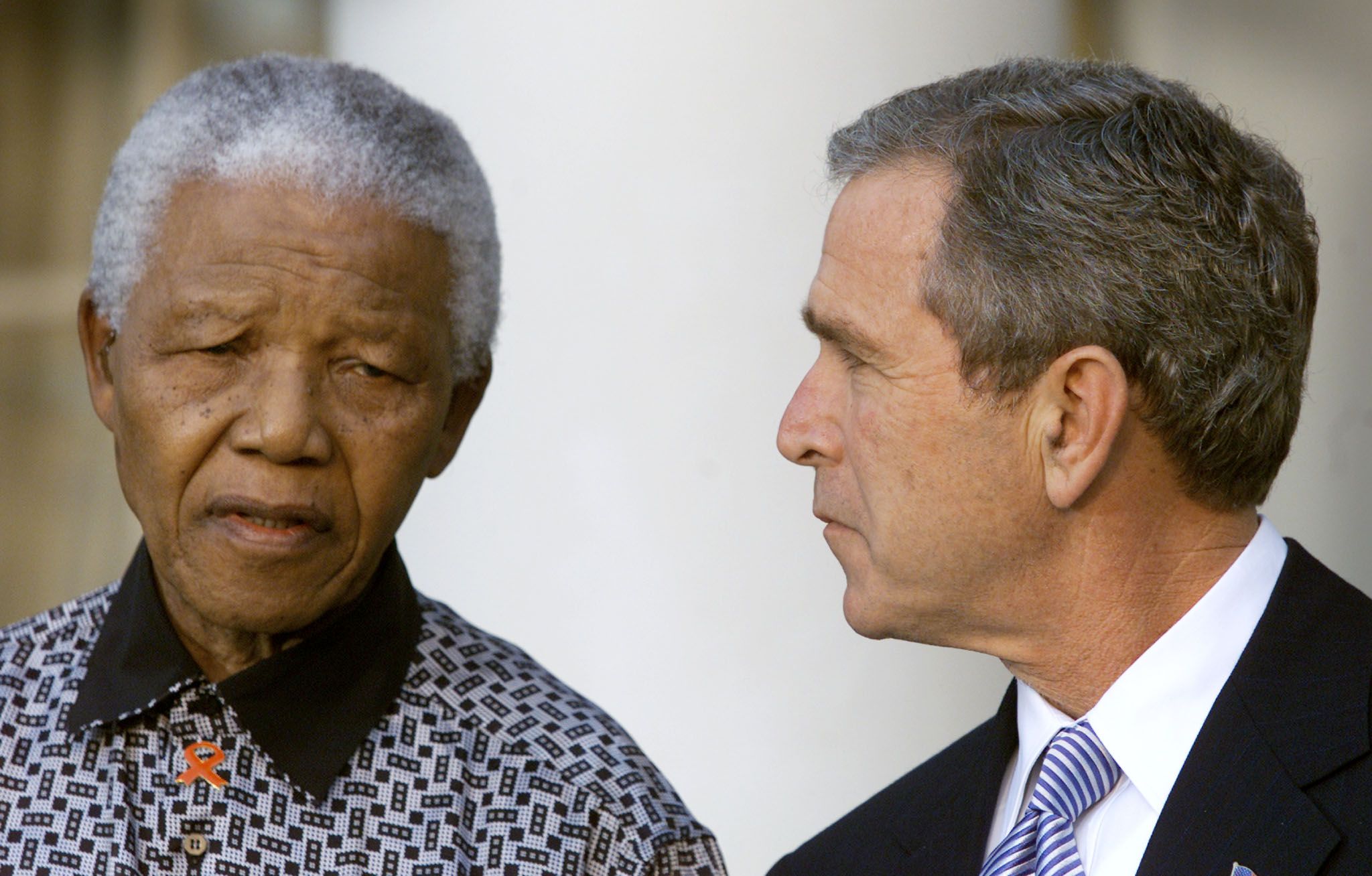 mandela-bush_0.jpg