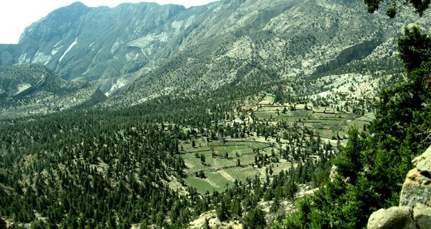 Juniper-Forests-ziarat-620x330.jpg