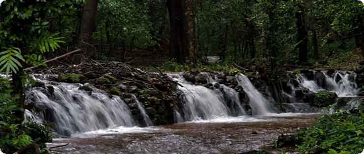 location-agumbe.jpg