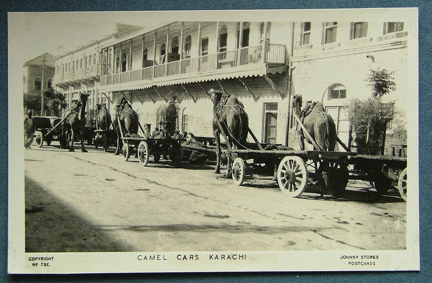 Camel+Cars+Karachi.JPG