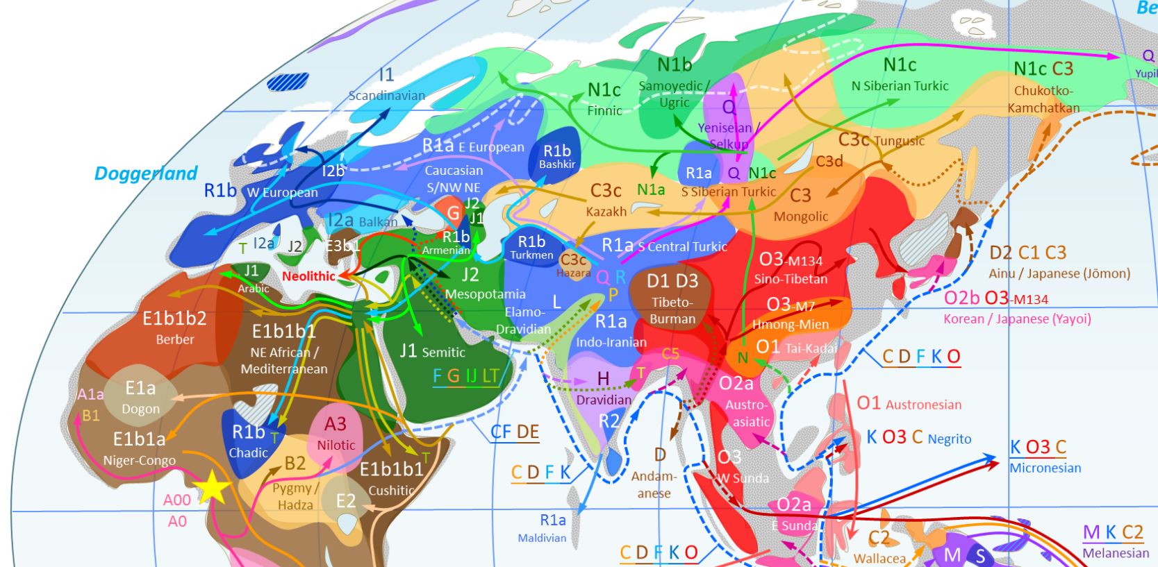 YDNA-Haplogroups.jpg