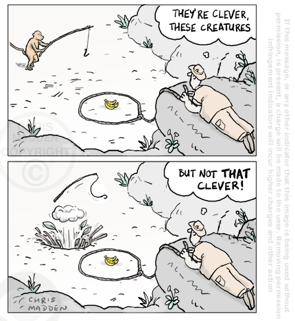 Clever-these-creatures-cartoon.gif