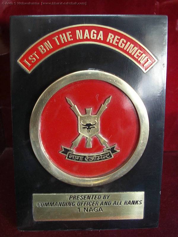 naga%20regiment.jpg