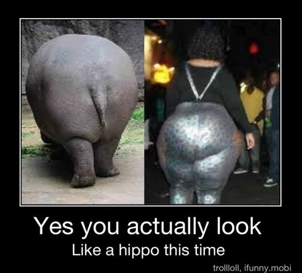 fat-women-look-like-hippos.jpg