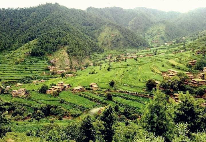 khaledafridi-my-beautiful-village-tirah-valley-khyber-agency-fata1.jpg