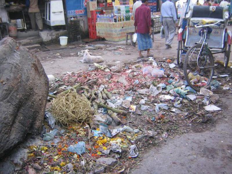 Roadside-garbage-India.jpg