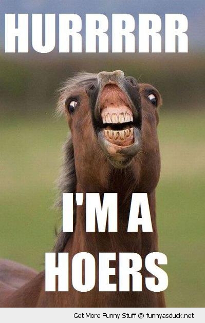 funny-horse-hurrrr-pics.jpg