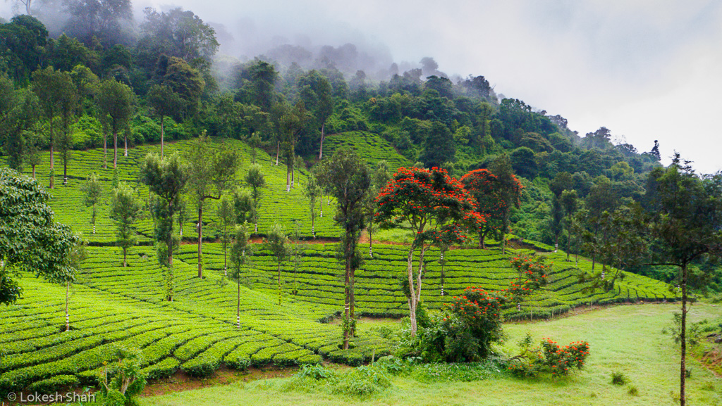 bikeridevalparai_203.jpg