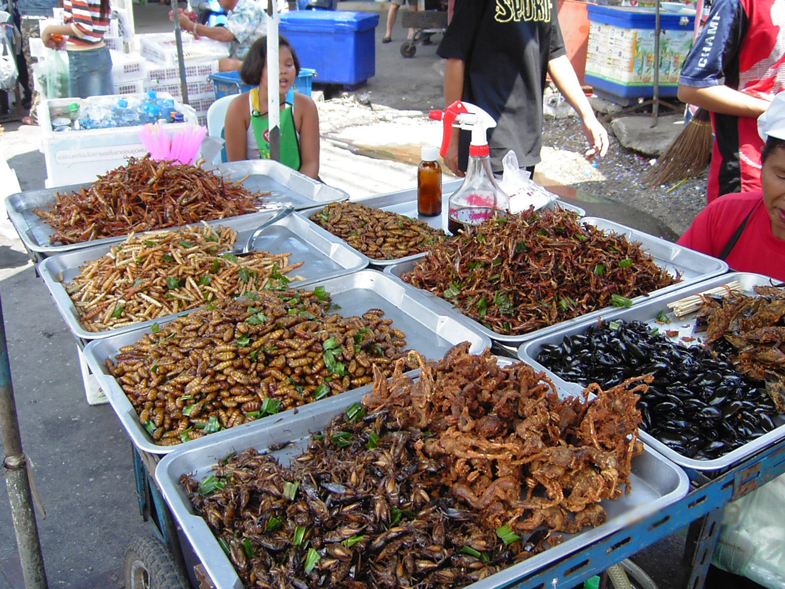 Insect_food_stall.JPG