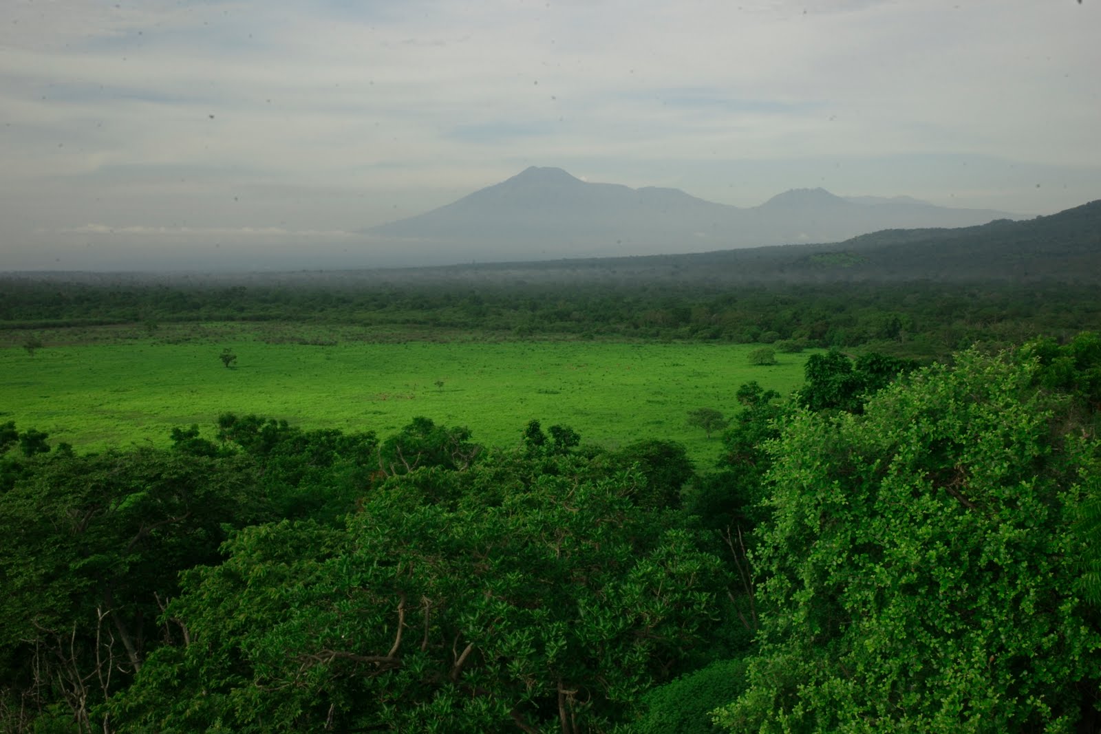 baluran-national-park-2.jpg